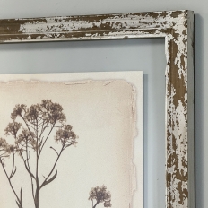 Set of 6 Botanical Prints in Rustic Distressed Painted Frames