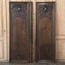 Pair 18th Century French Doors ~ Plaquards