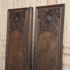 Pair 18th Century French Doors ~ Plaquards